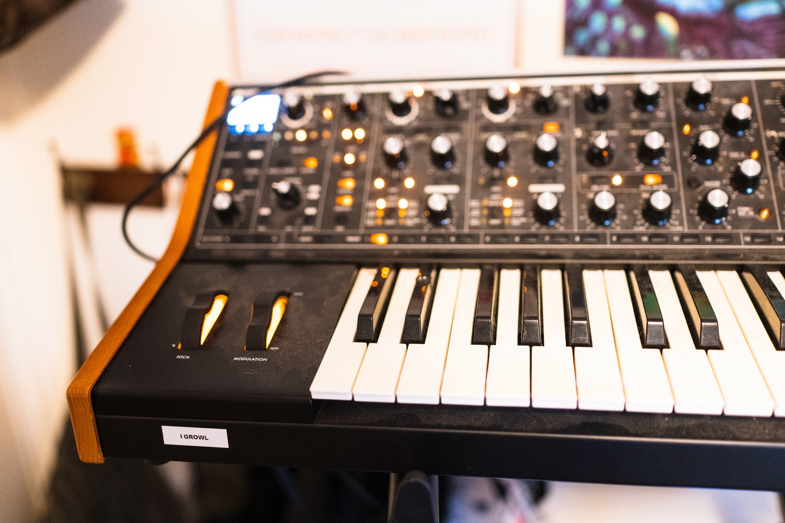Synthesizer at Play