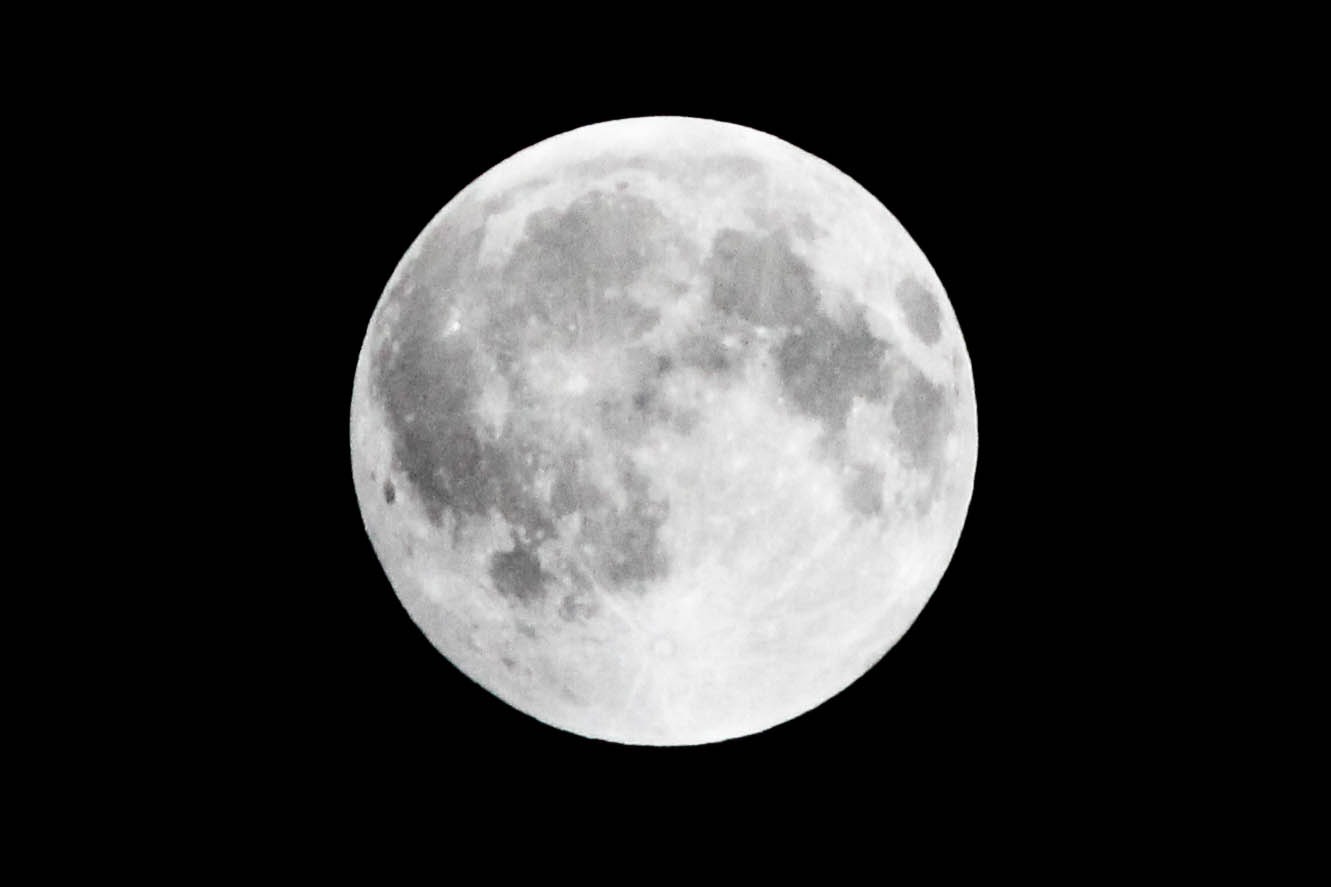 Luminous Lunar Gaze