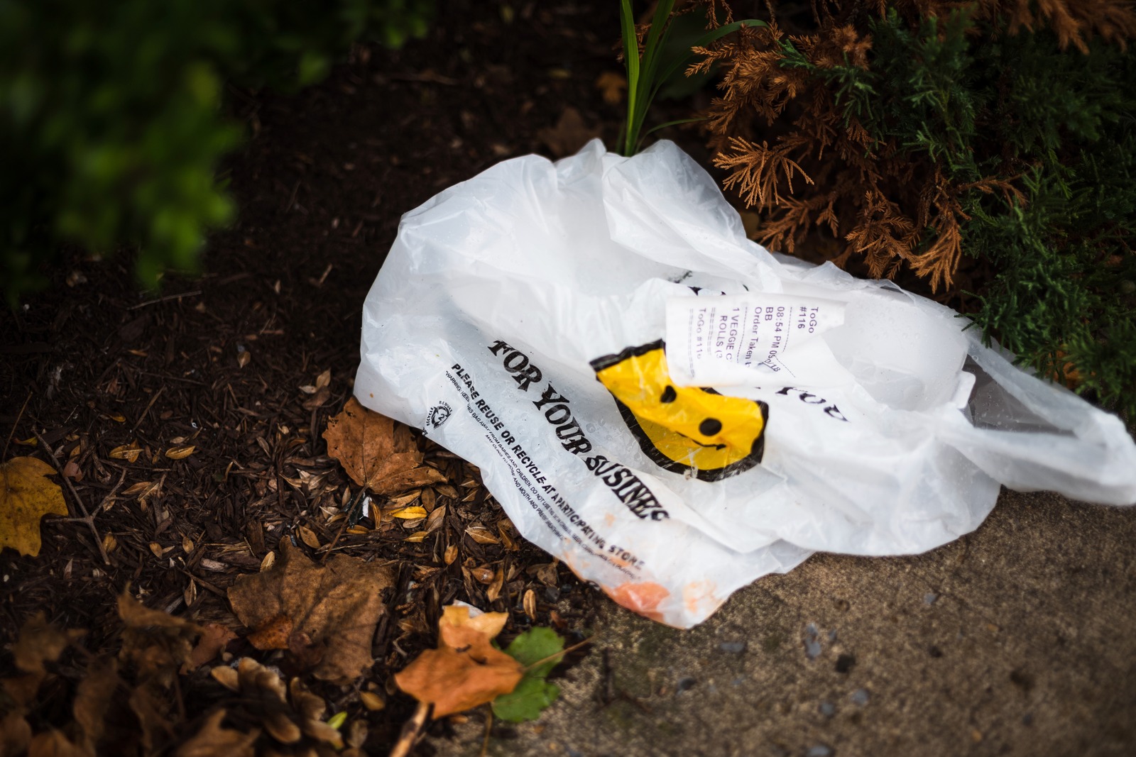 Forgotten Waste
