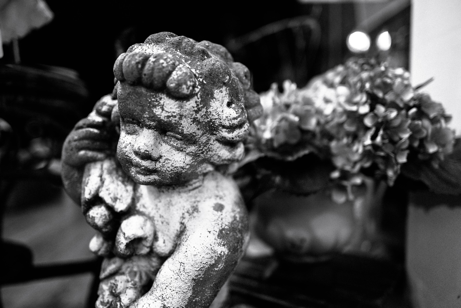 Whispers of Time