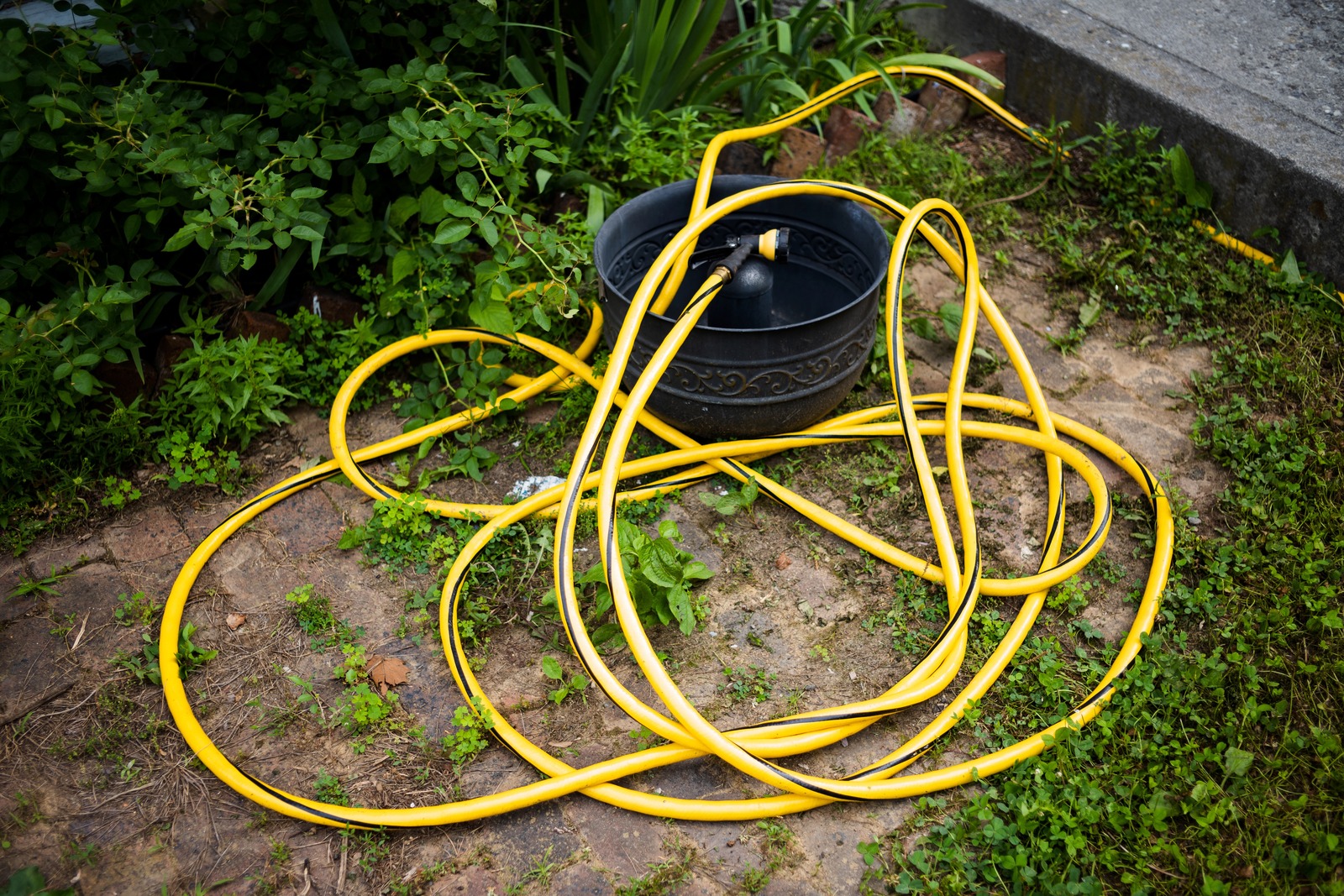 Tangle of Utility