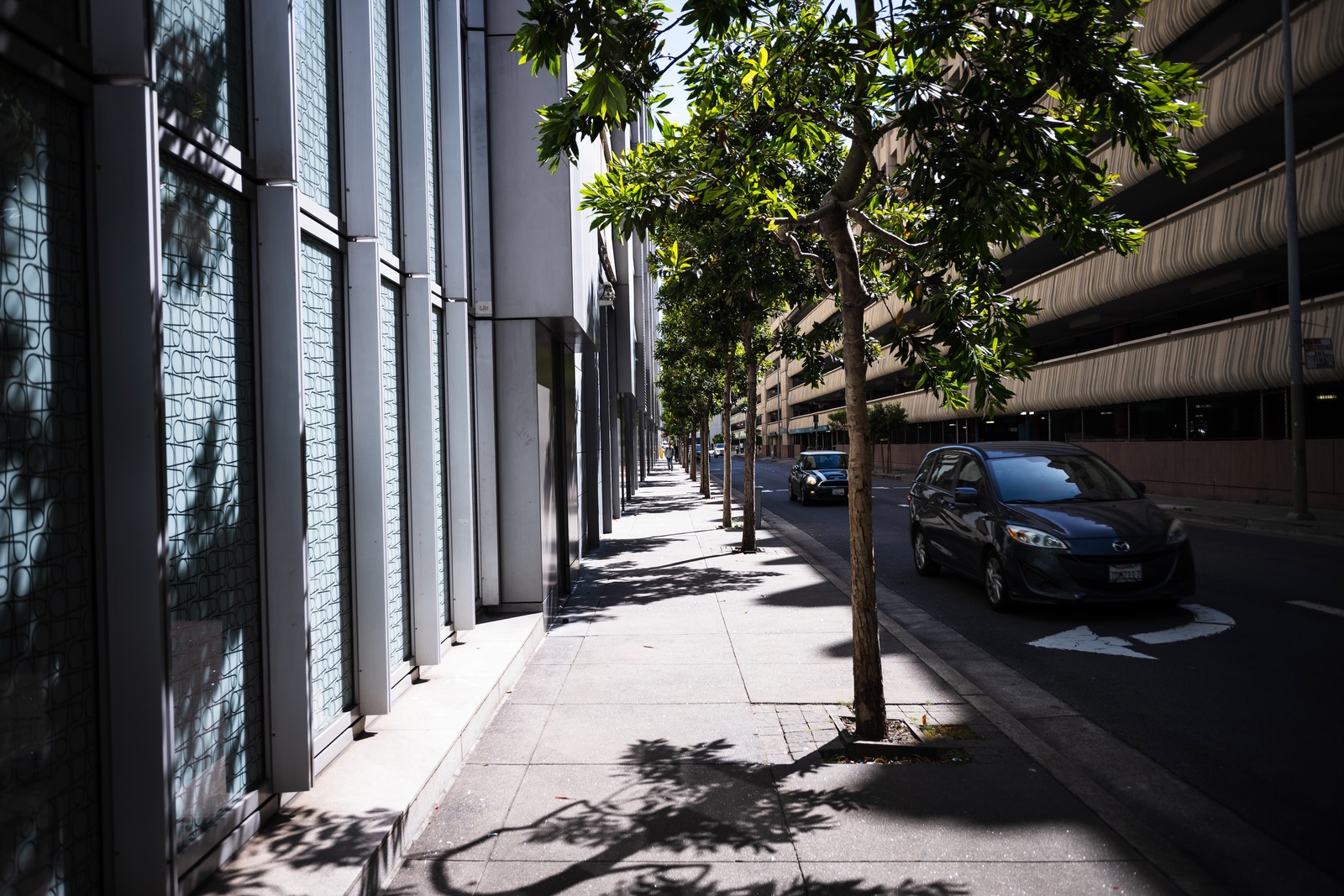 Urban Shadows