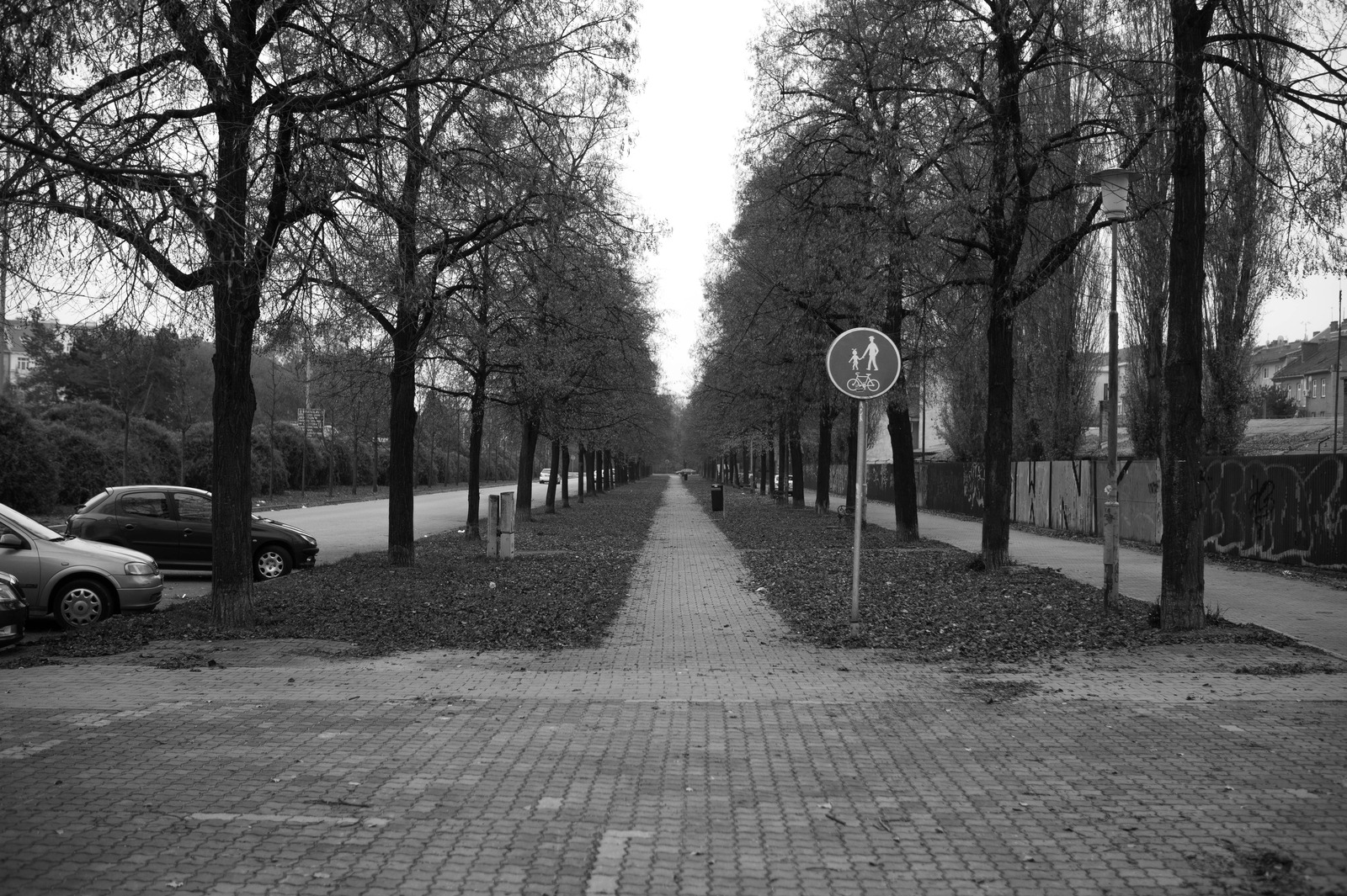 Melancholic Pathway