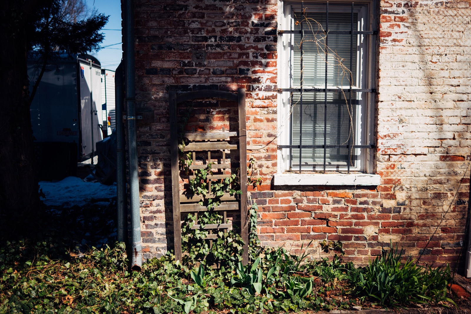 Rustic Urban Corner