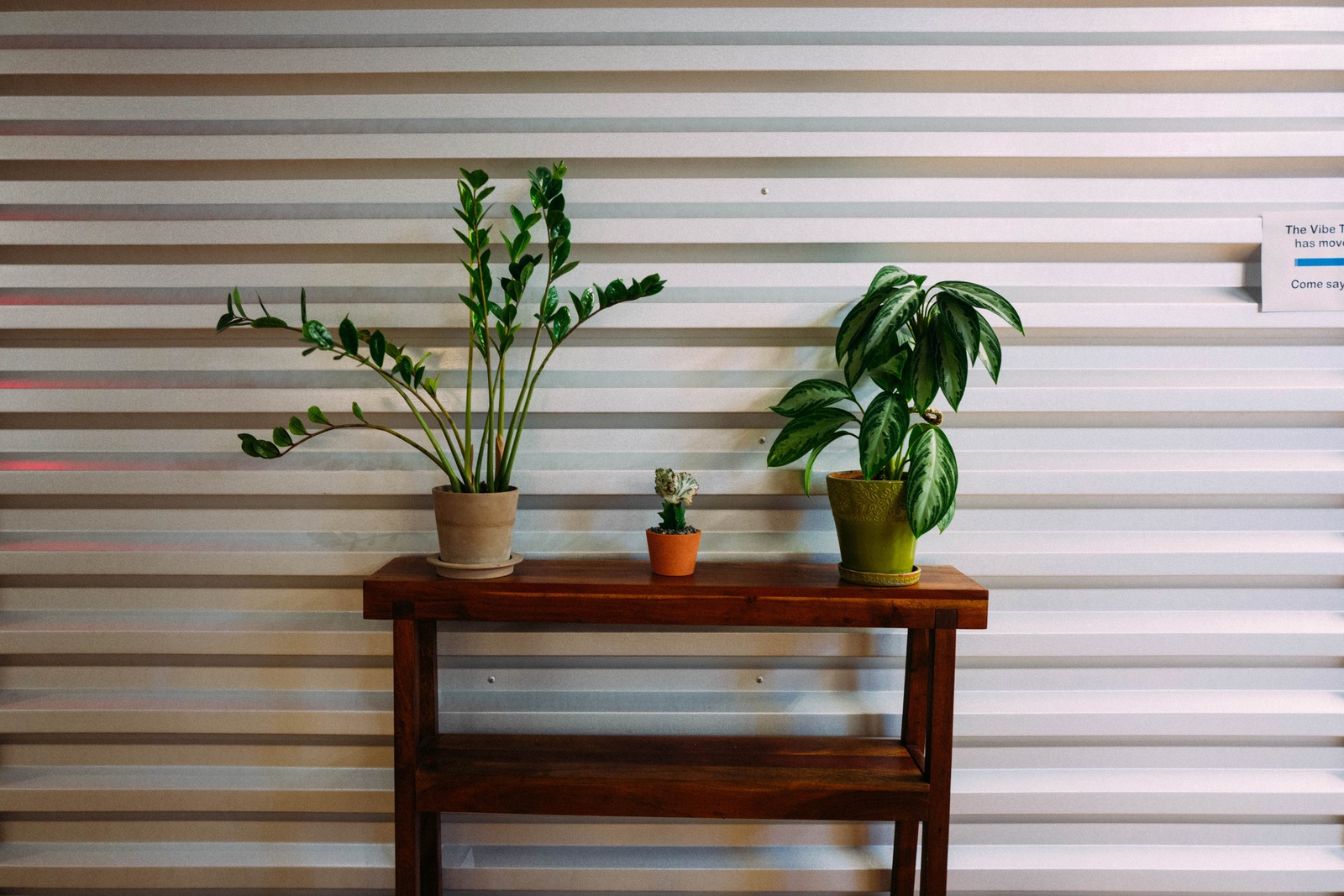 Serene Greenery