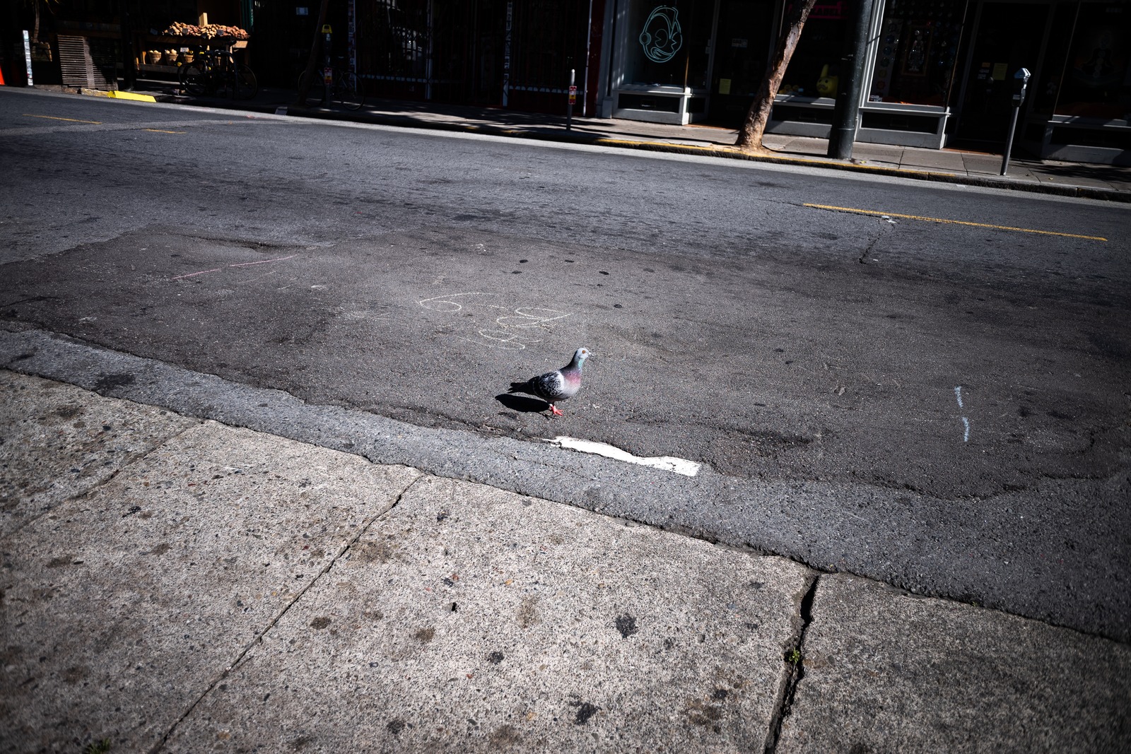 Solitary Stroll