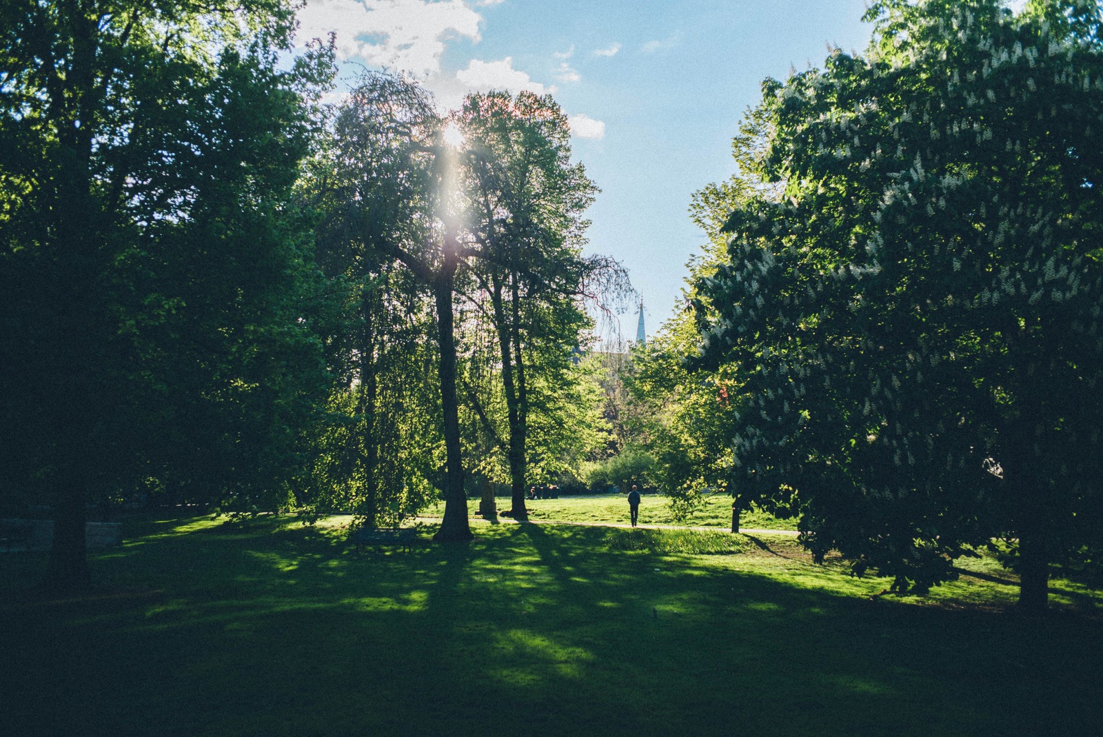 Whispers of Nature