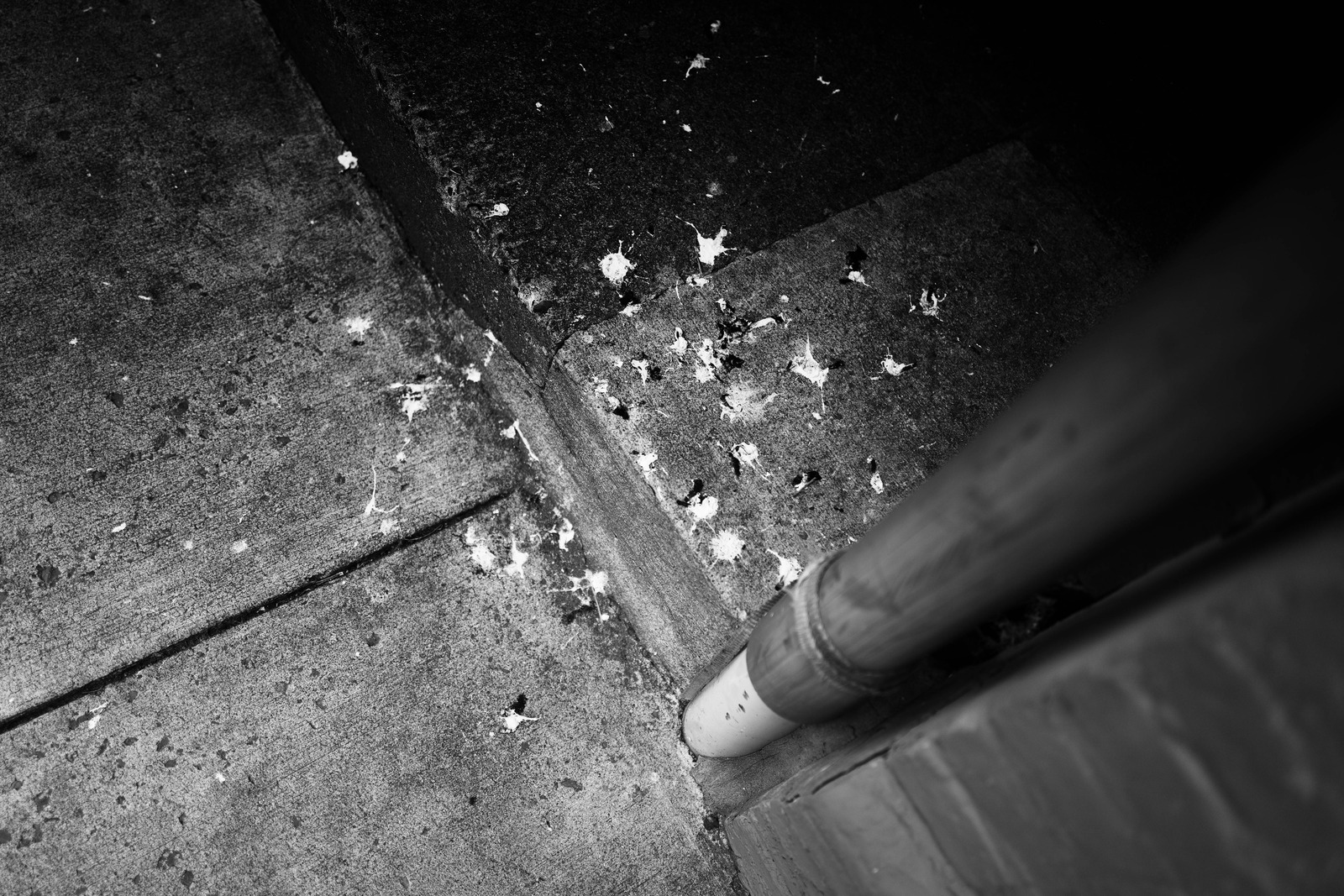 Urban Stillness