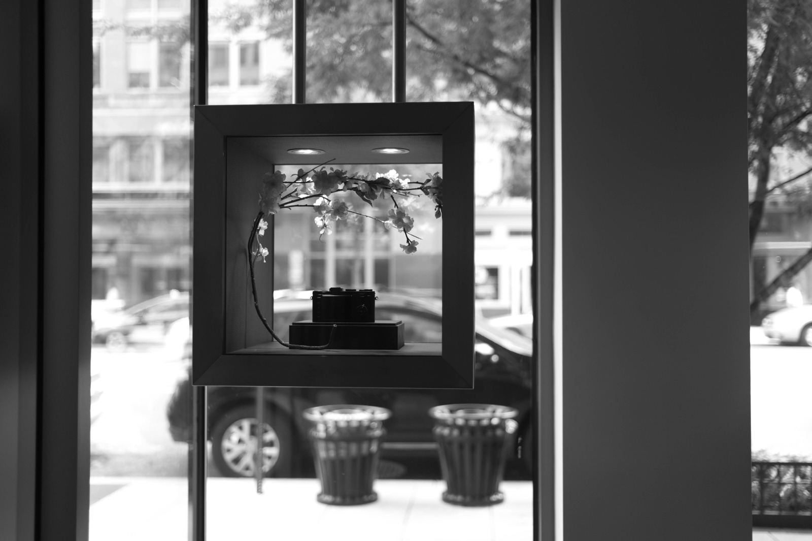 Framed Elegance
