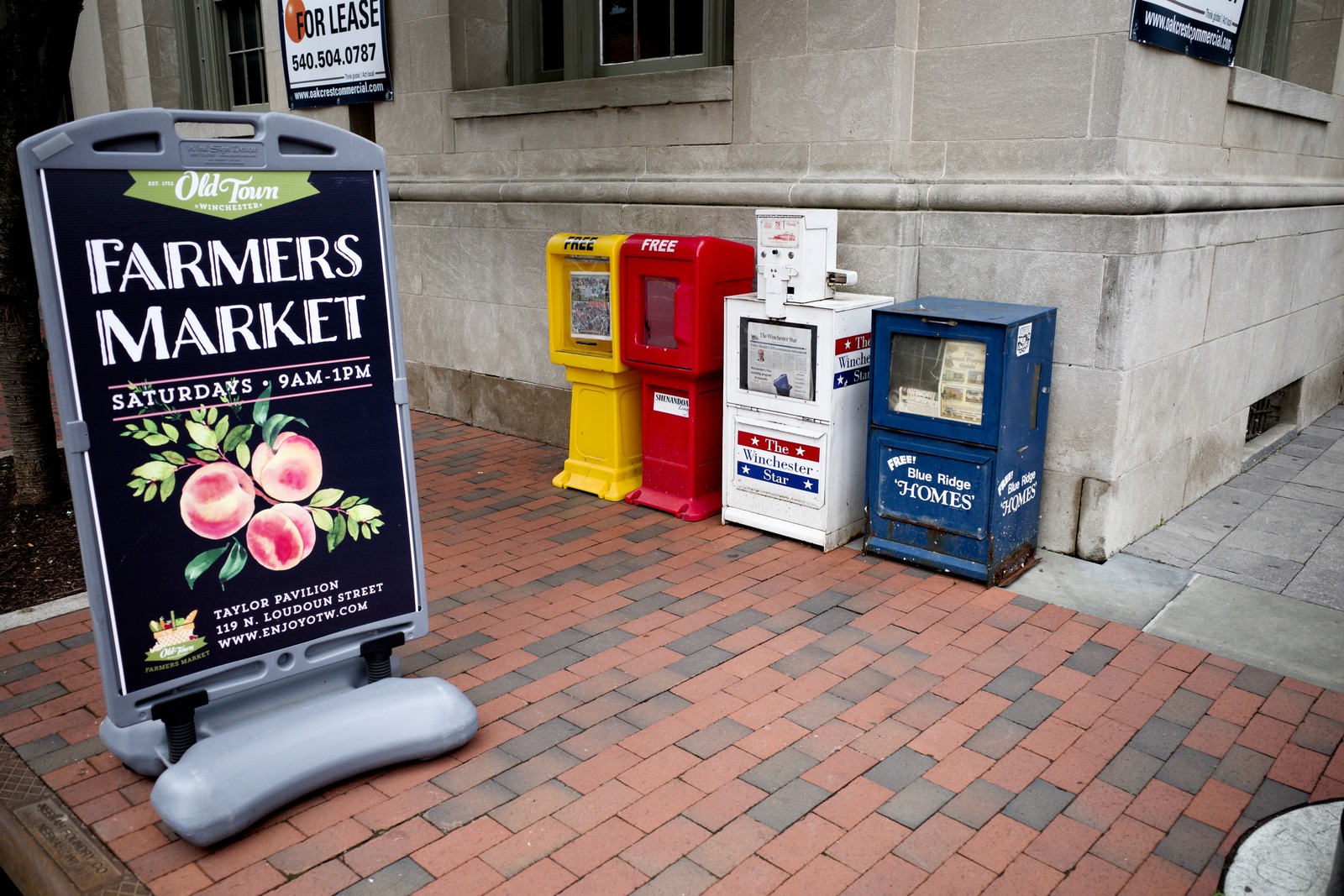 Market Vibes