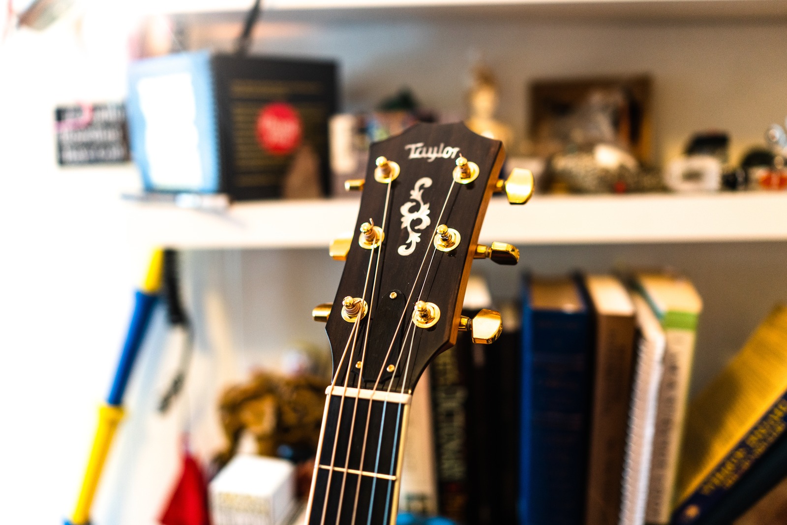 Melody in Focus