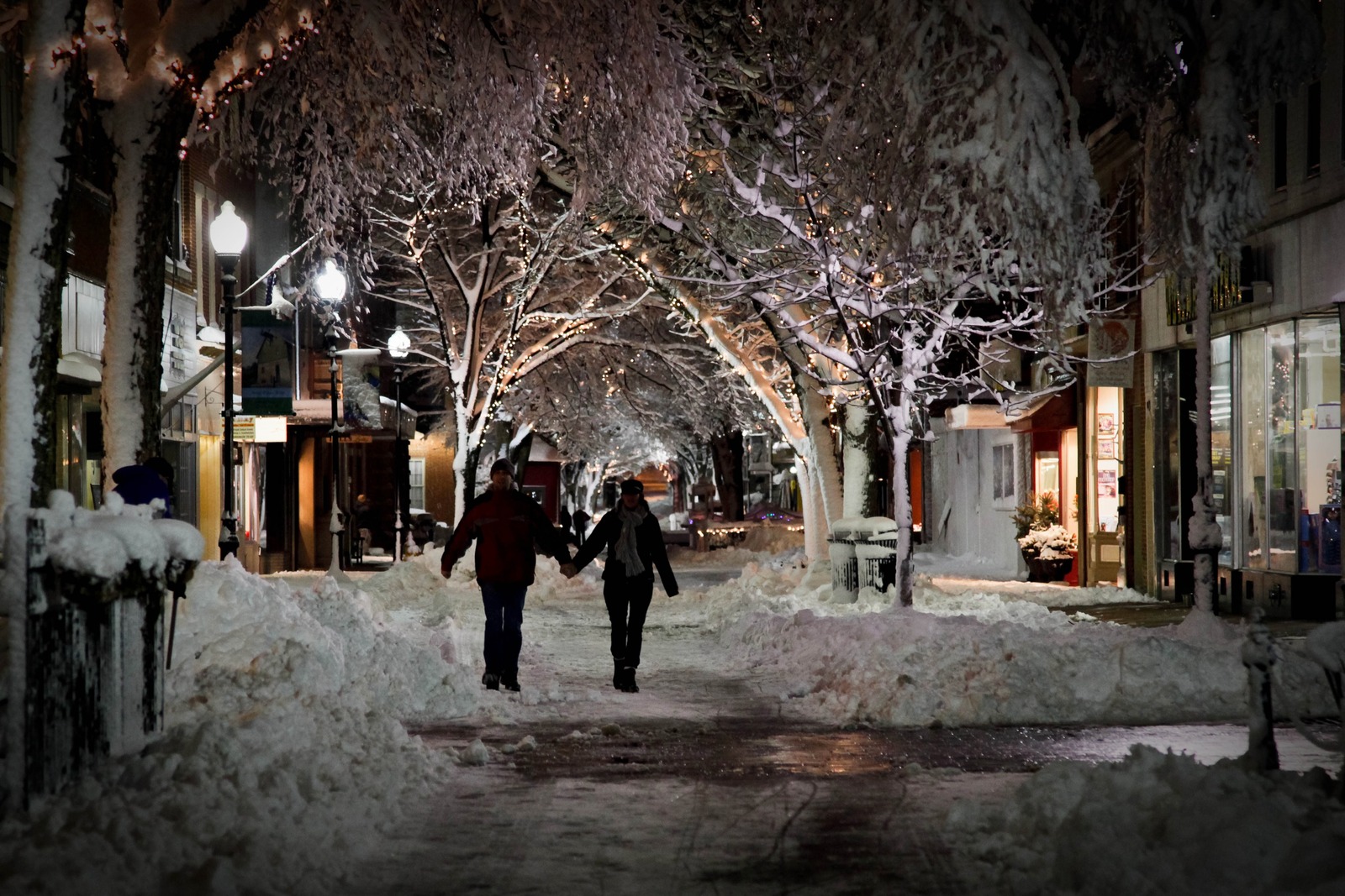 Winter's Embrace