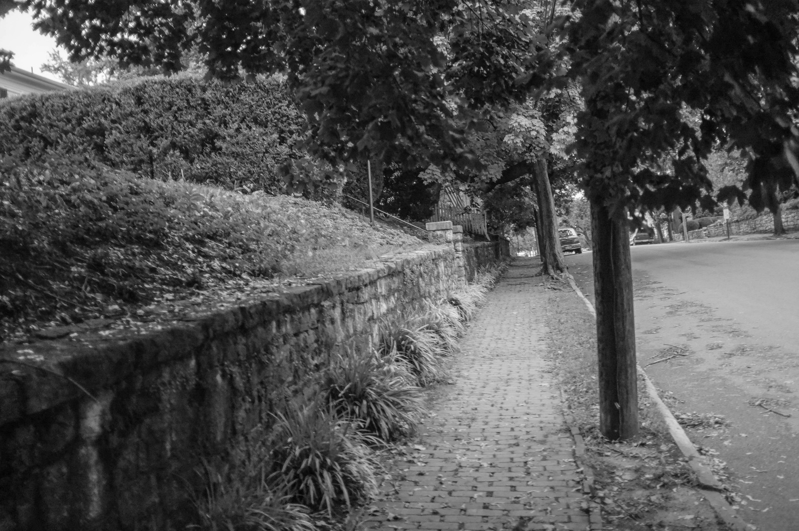 Quiet Urban Pathway