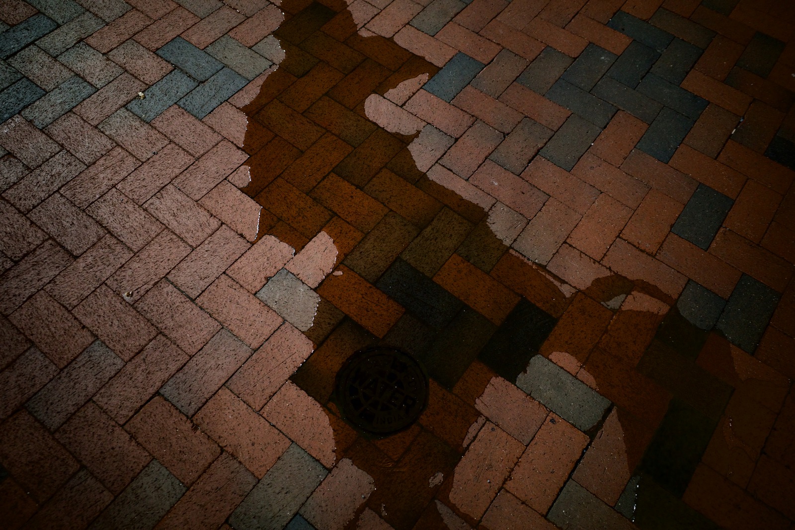 Reflections in Rain