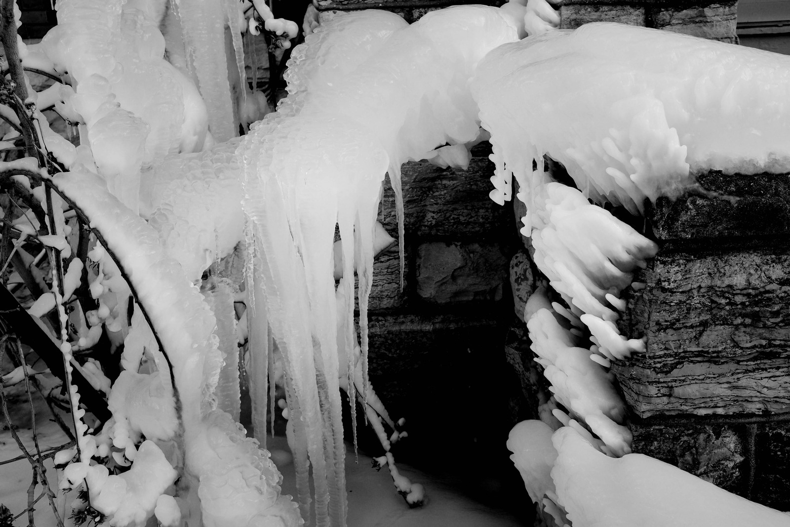 Frozen Elegance