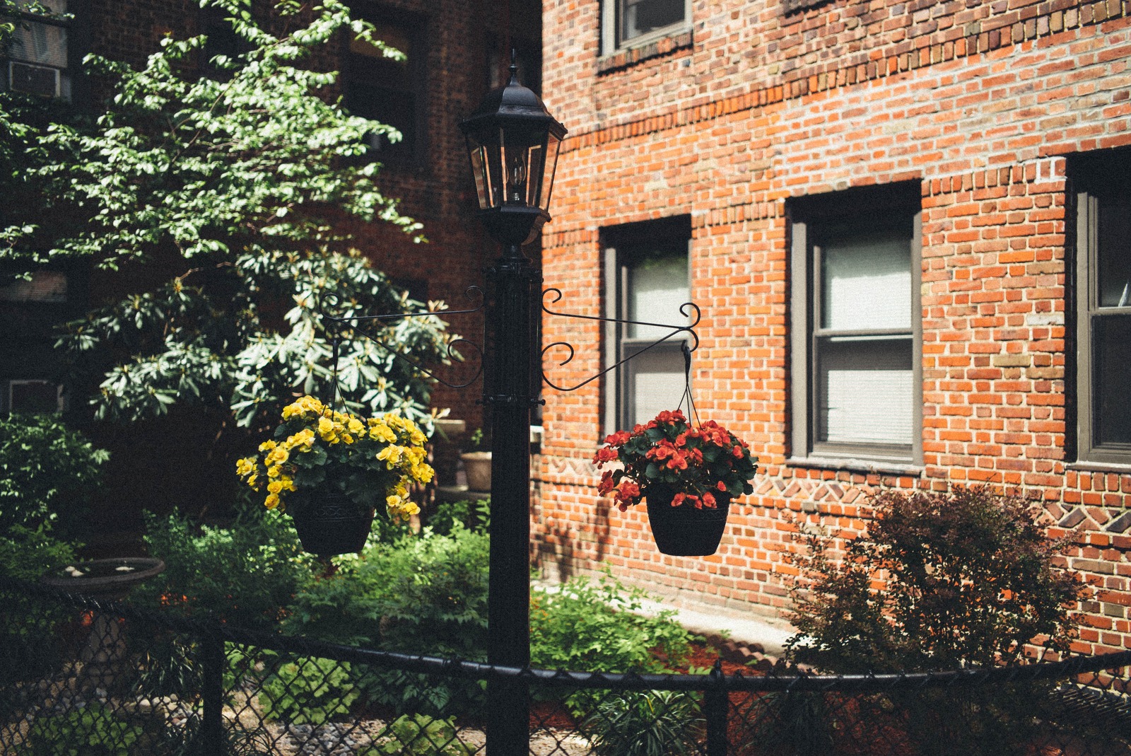 Urban Serenity