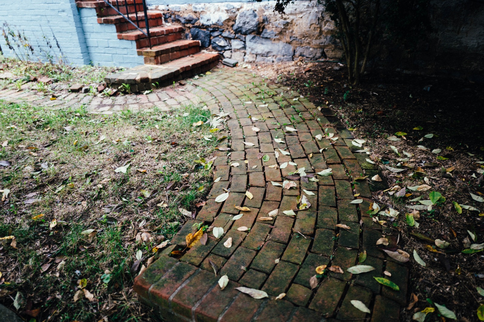 Winding Pathway