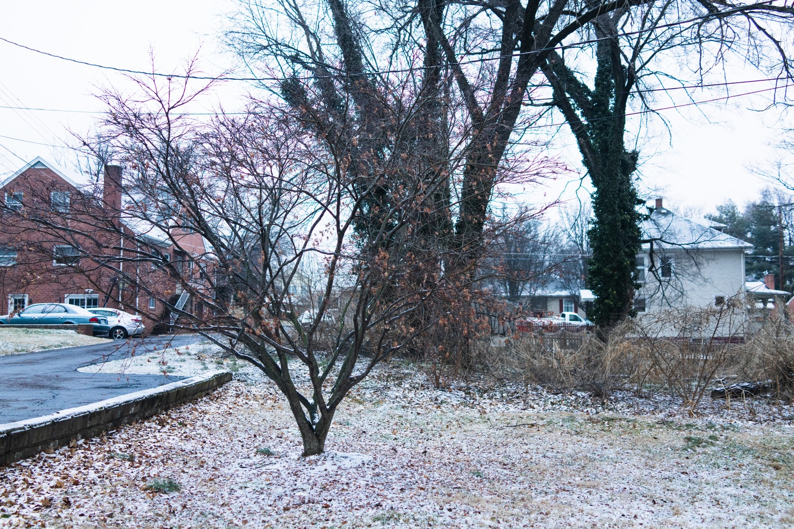 Quiet Winter Scene