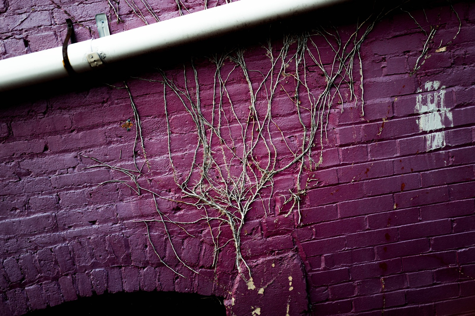 Urban Veins