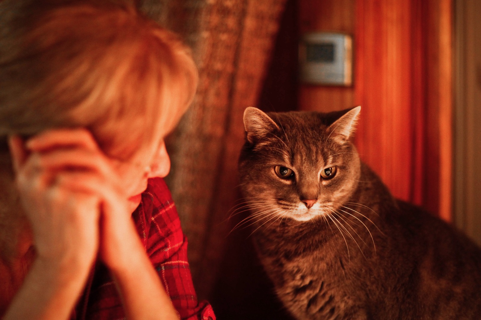 Quiet Companionship