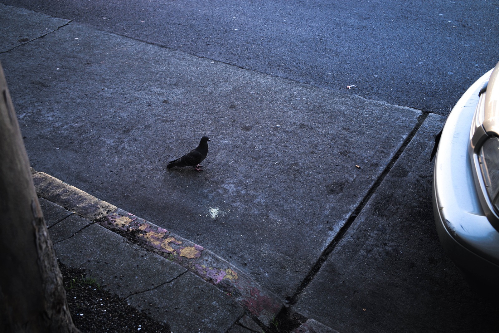 Urban Solitude