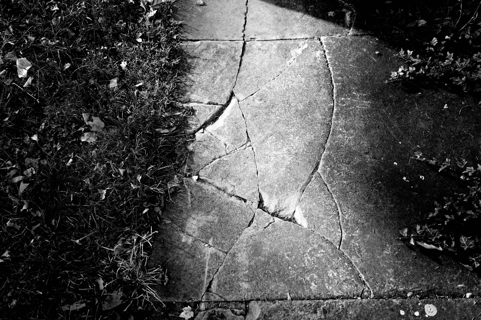 Cracks and Greens