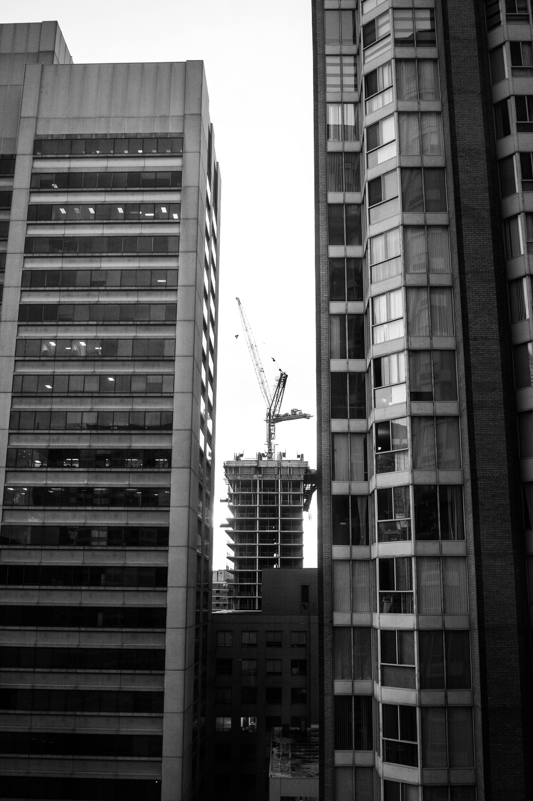Urban Convergence
