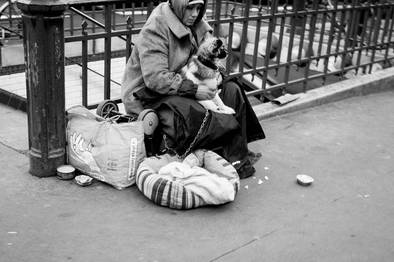 Silent Companions