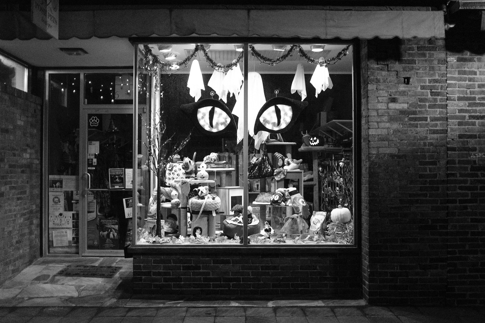 Haunted Display