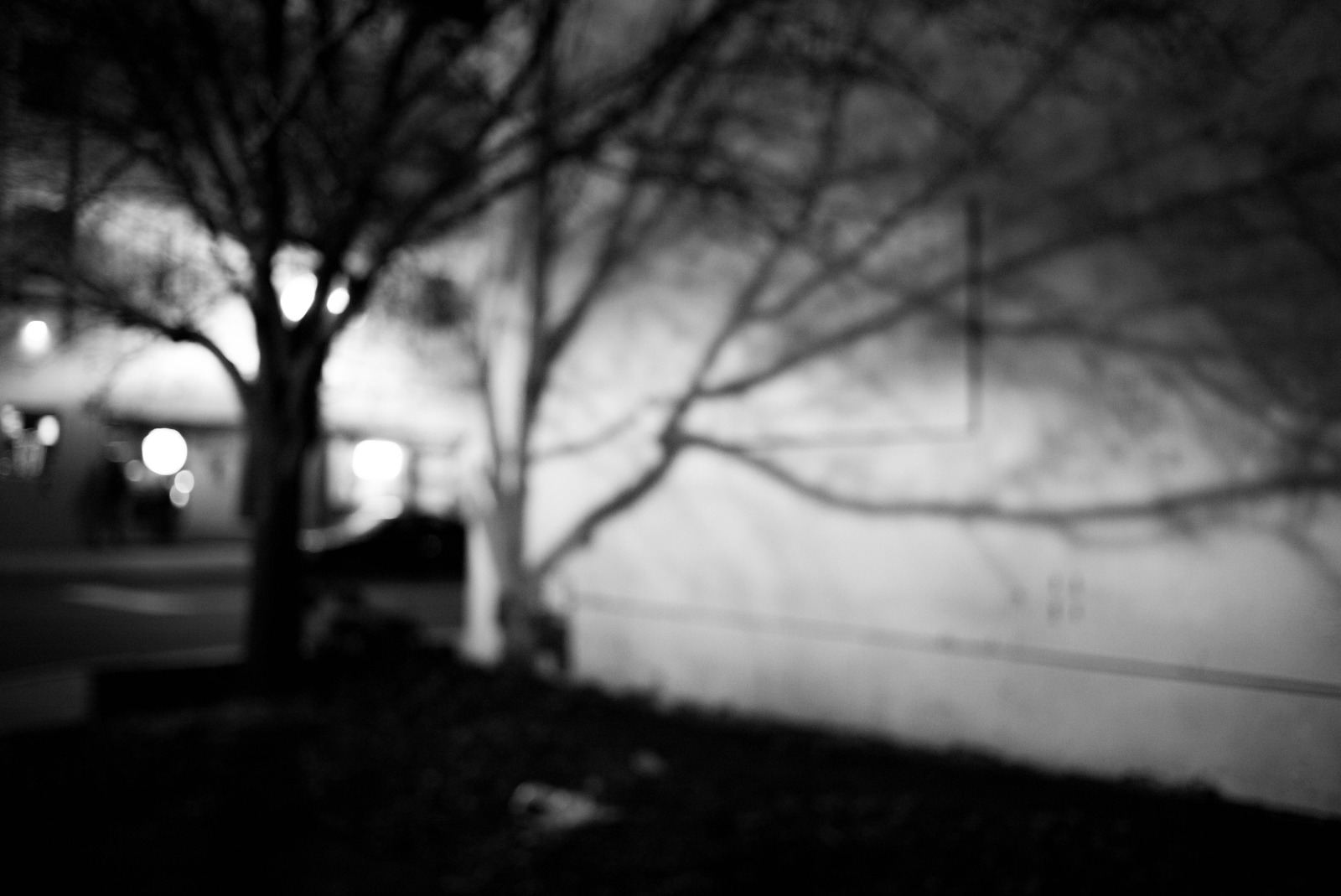 Whispers of Shadow