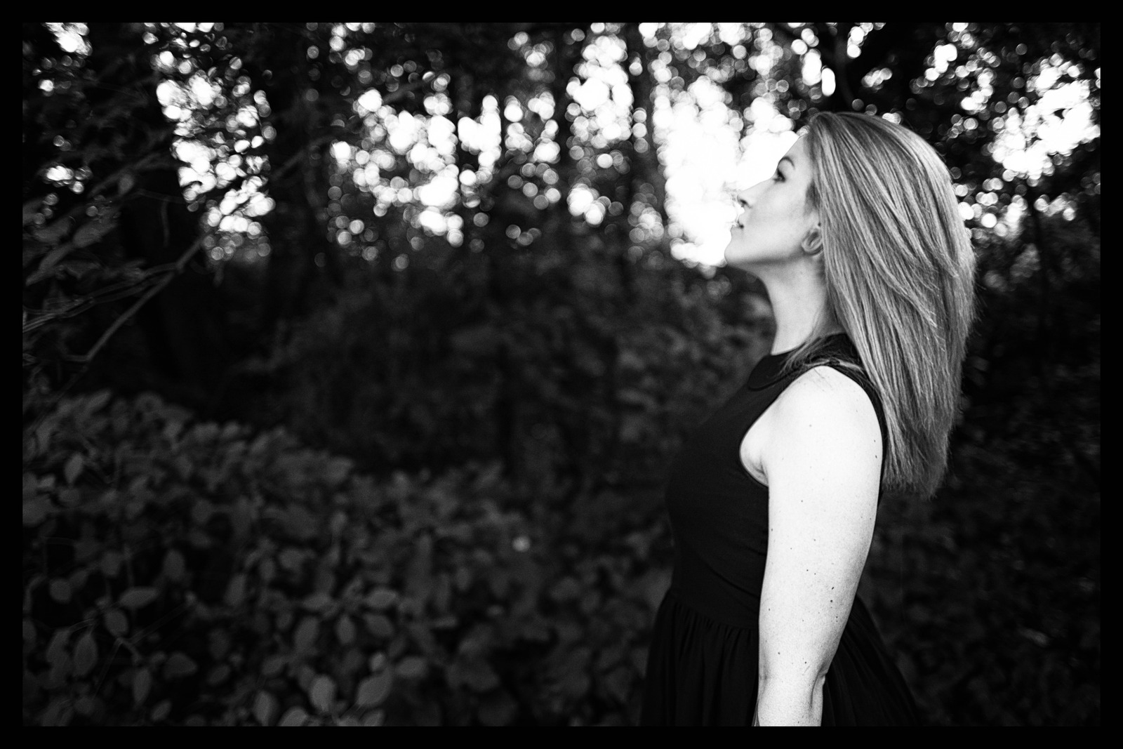 Serenity in Shadows