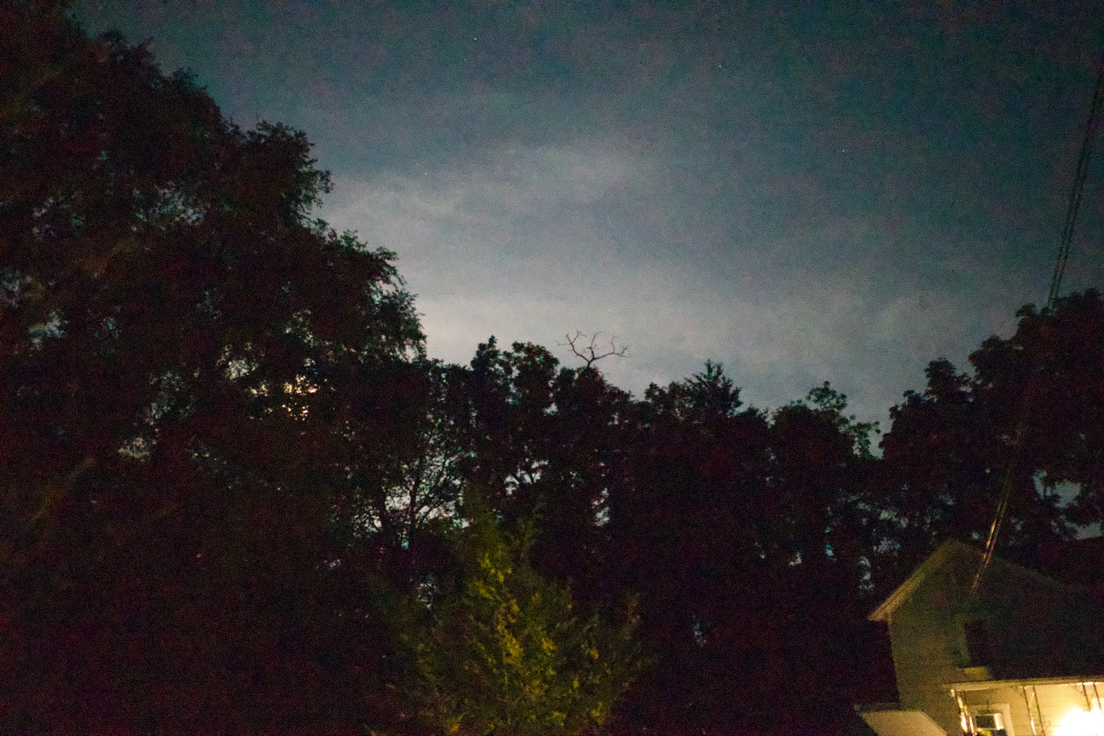 Whispers of Night