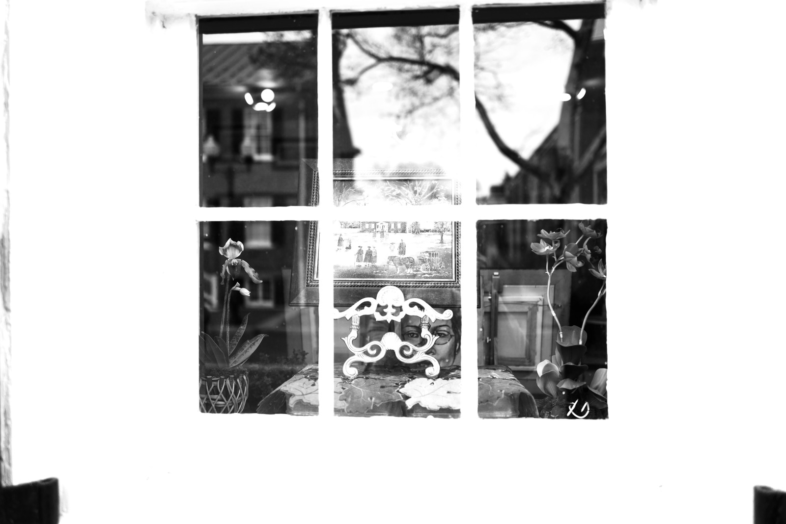 Through the Window