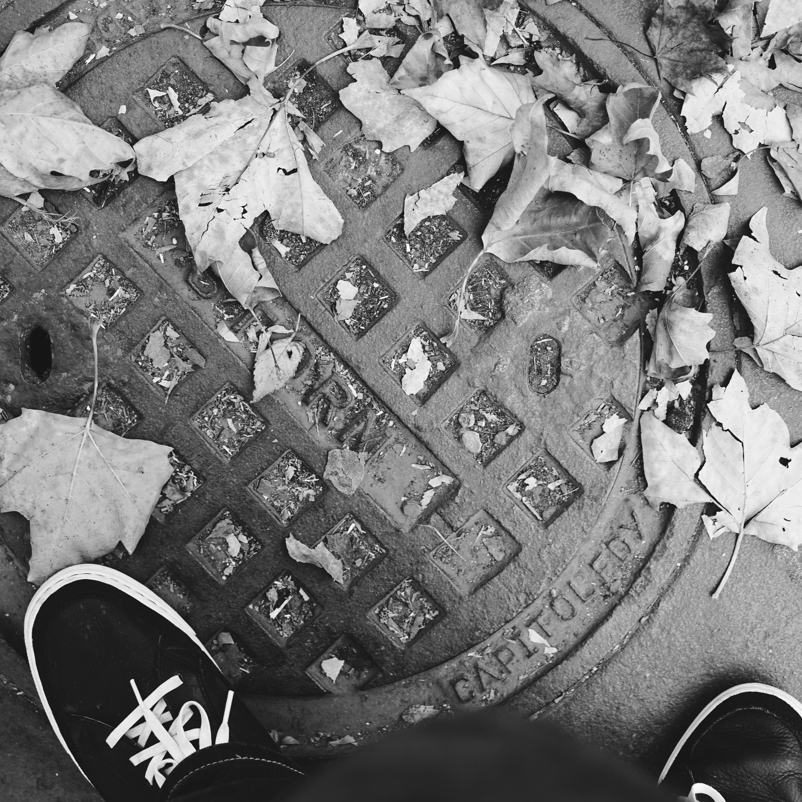 Autumn Underfoot