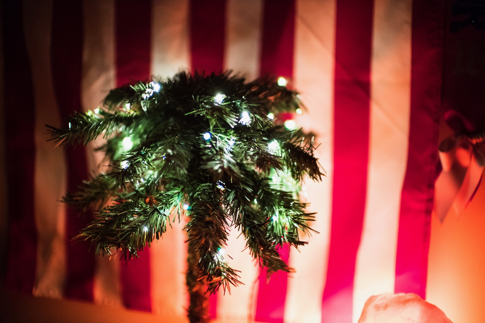 Festive Contrast