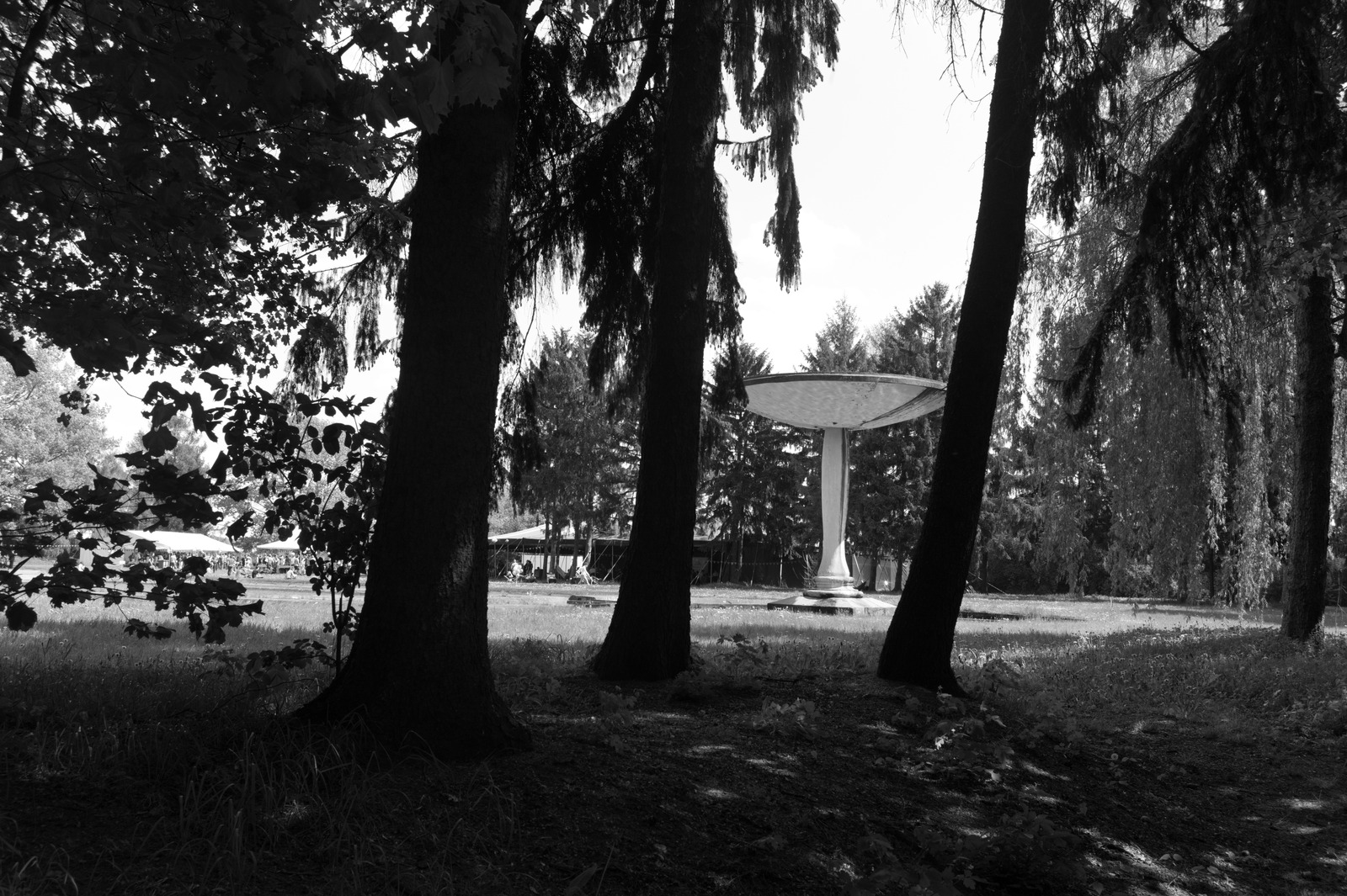 Shadows of Serenity