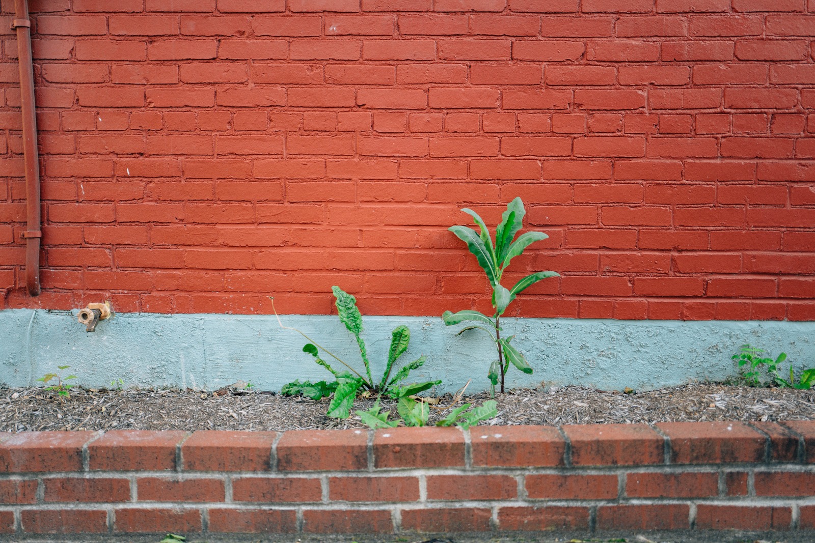 Resilient Greenery