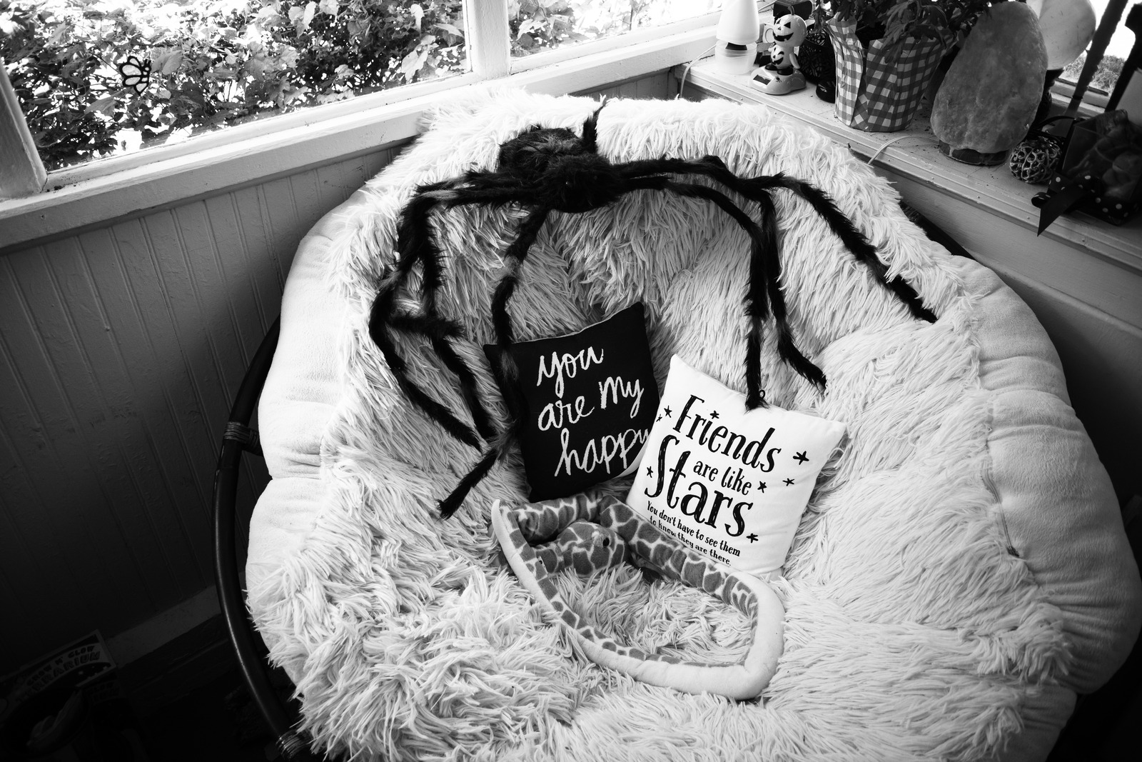 Cozy Contrast