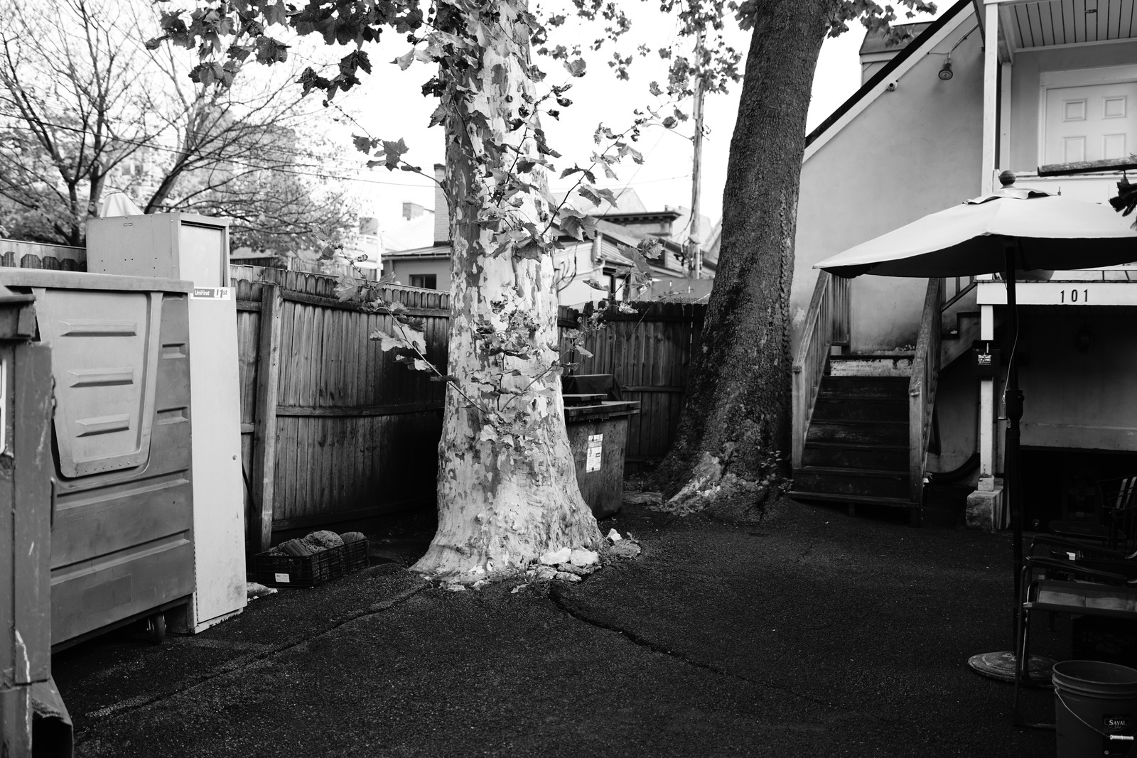Quiet Urban Refuge