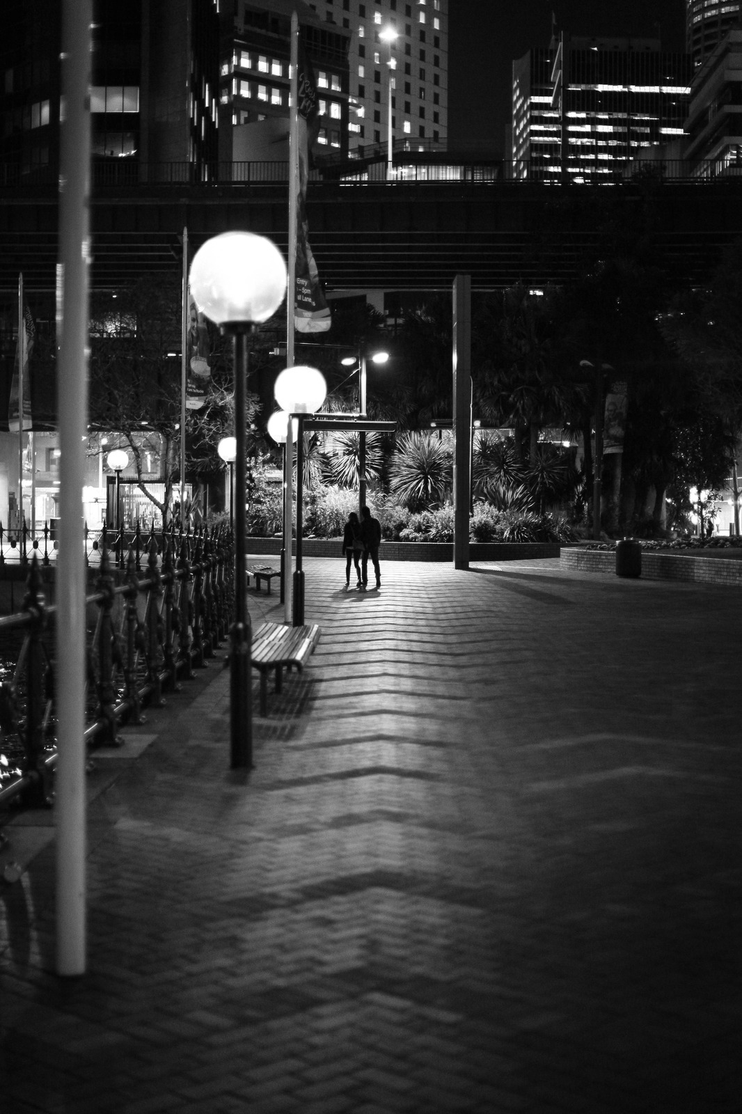 Moonlit Stroll