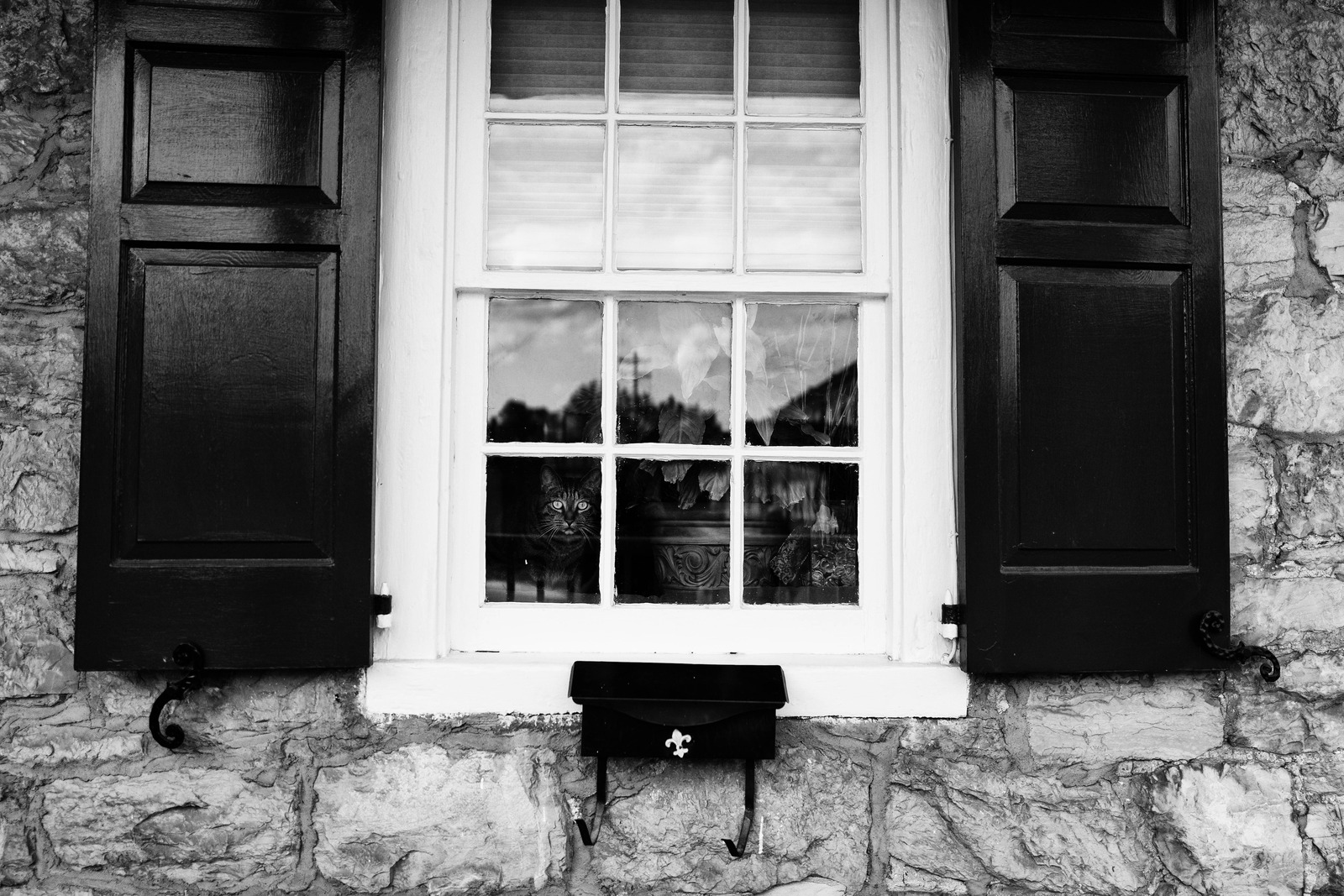 Gaze from the Past