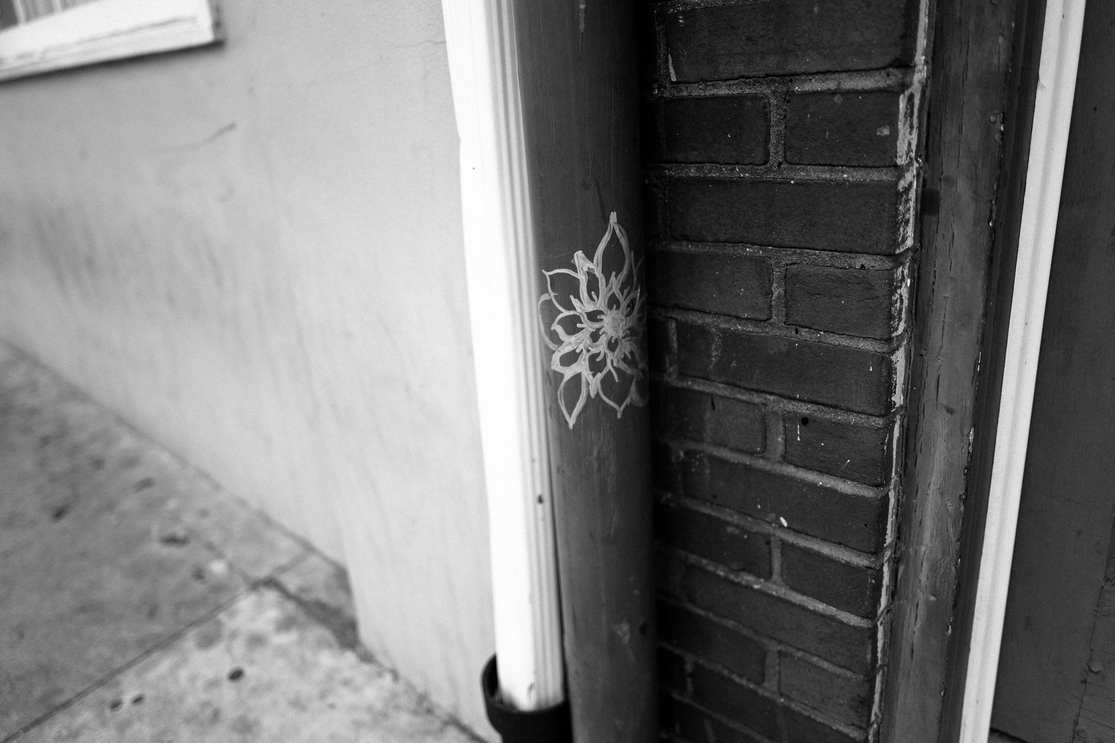 Urban Flora