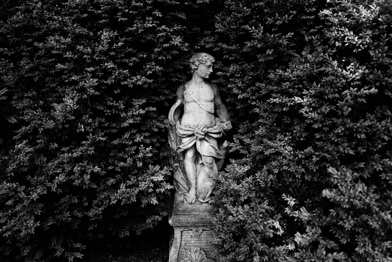 Hidden in Greenery