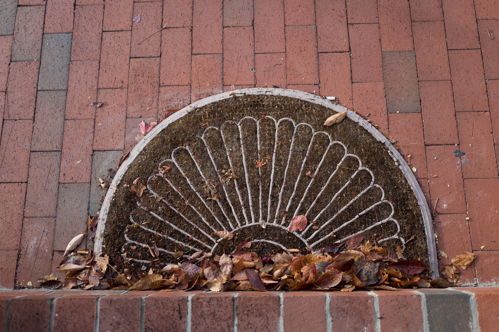 Autumn's Welcome