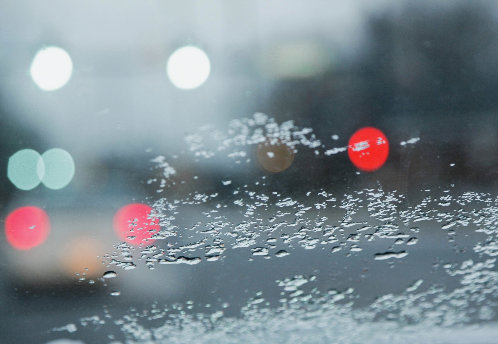 Rainy City Lights
