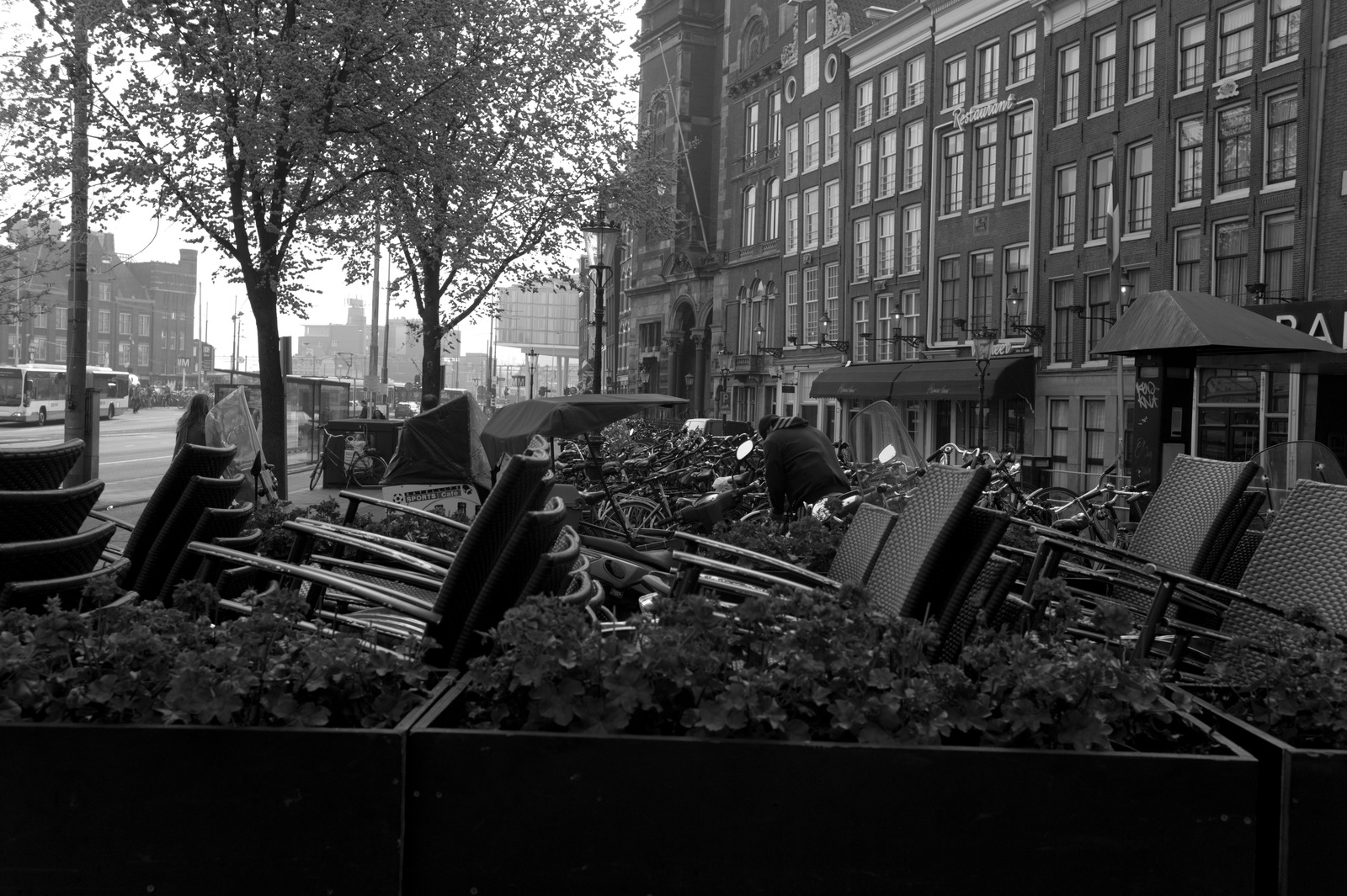 Urban Stillness