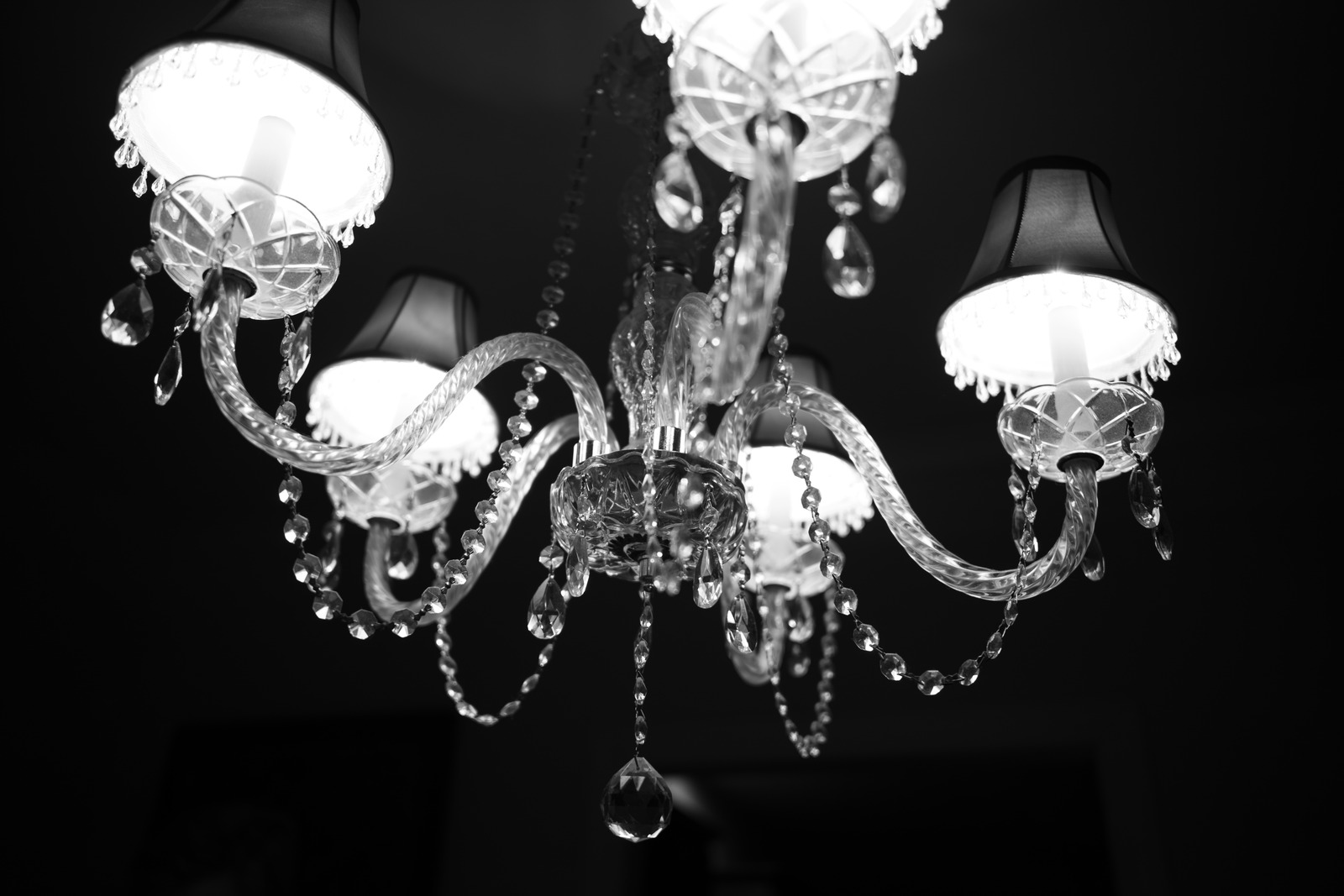 Luminous Elegance