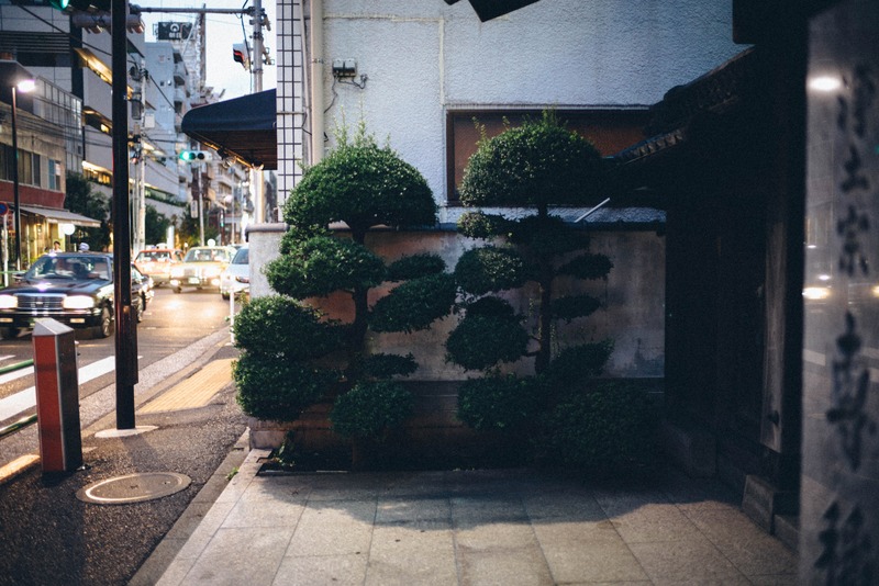 Urban Zen