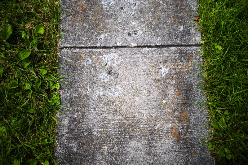 Pathway of Nature