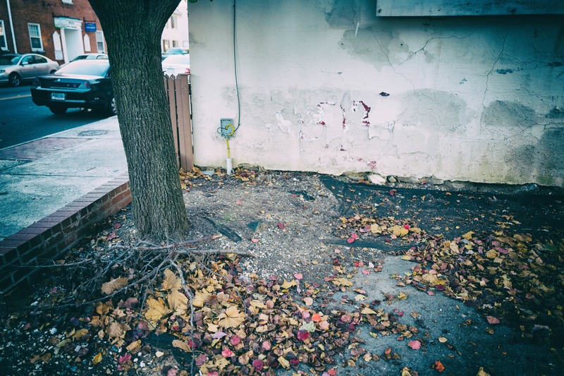 Urban Decay
